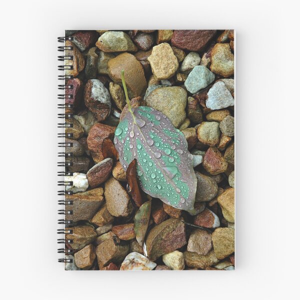 Item preview, Leaf and Stones designed and sold by Selsong.