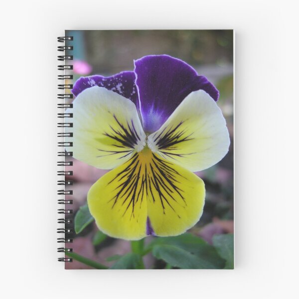 Item preview, pansy in close ... designed and sold by Siju Doniston.