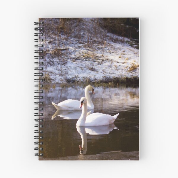 Item preview, Swan Lake designed and sold by Lynne Morris.