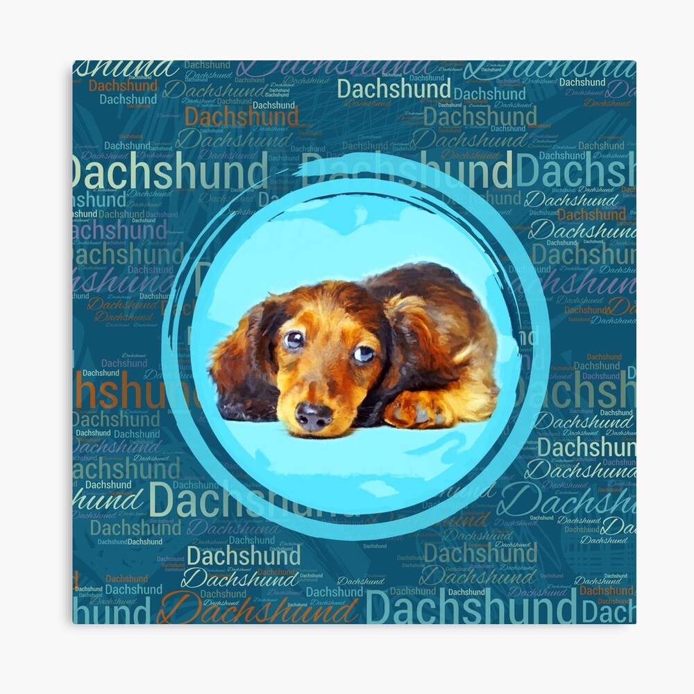 Cute Longhaired Dachshund Puppy Poster By K9printart Redbubble