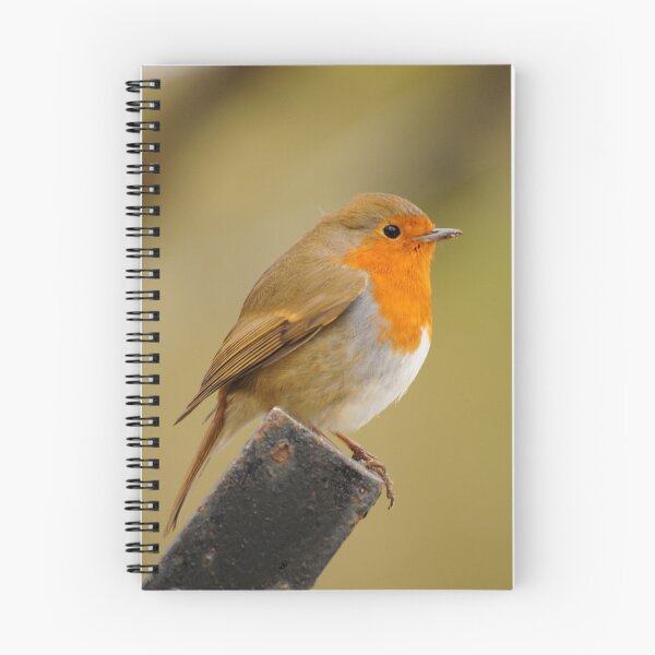 Item preview, Robin designed and sold by Ian Tilly.