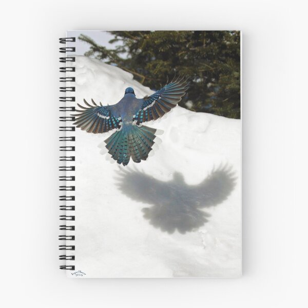 Item preview, Telemark Landing designed and sold by Brian Pelkey.