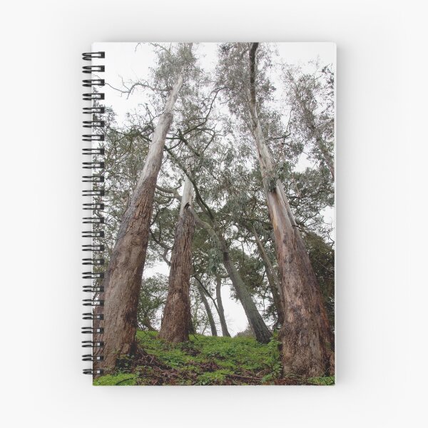 Item preview, Strawberry Hill designed and sold by Jarede Schmetterer.