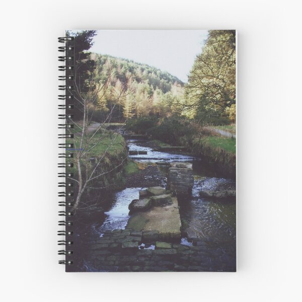 Artikelvorschau, Stepping Stones entworfen und verkauft von Kathy Selby.