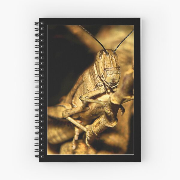 Item preview, grass hopper designed and sold by kevin Chippindall.