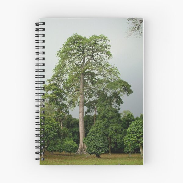 Artikelvorschau, Giant tree, Bogor, West Java entworfen und verkauft von Tim Coleman.