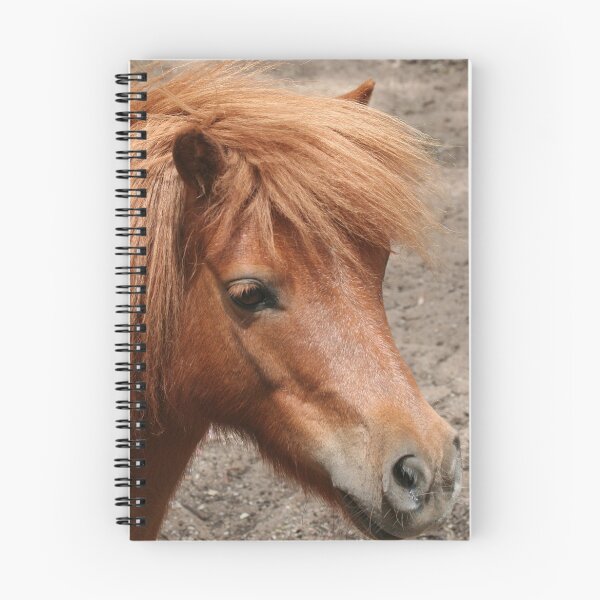 Item preview, Tia - Miniature Pony designed and sold by Jenny Brice.