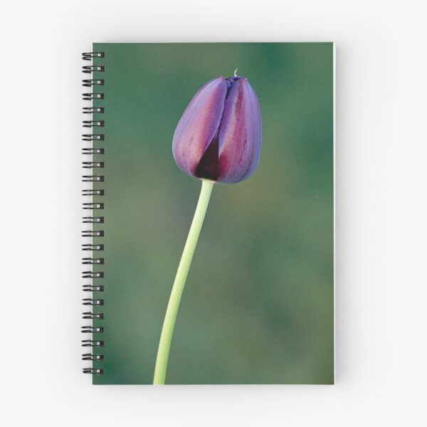 Item preview, Purple Heart designed and sold by Daniel  Parent.