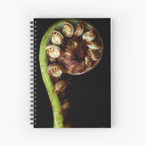 "P" is for Palm Spiral Notebook