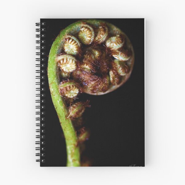 Item preview, "P" is for Palm designed and sold by NEmens.