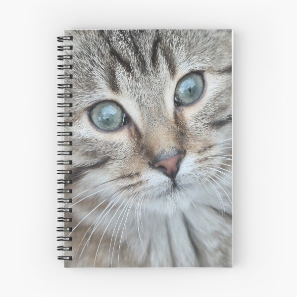 Item preview, Tabby Cat Kitten designed and sold by simpsonvisuals.