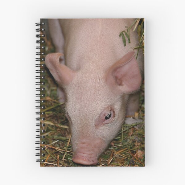 Item preview, This Little Piggy designed and sold by Jenny Brice.