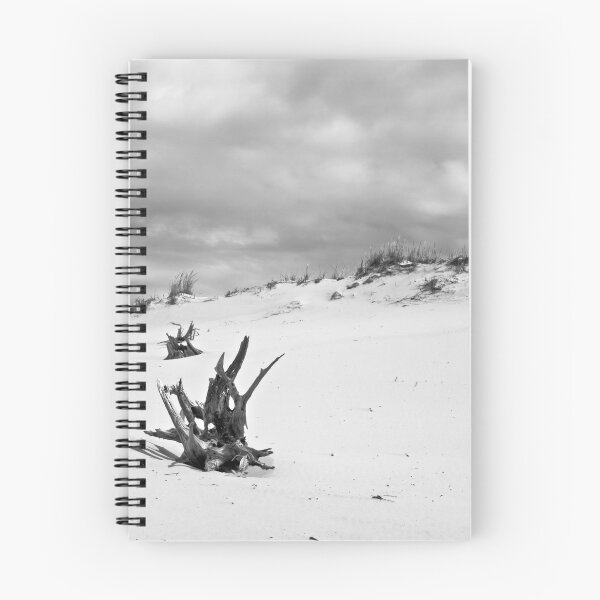 Item preview, Silver Lake Sand Dunes - We've Been Out Here All This Time designed and sold by JThill.
