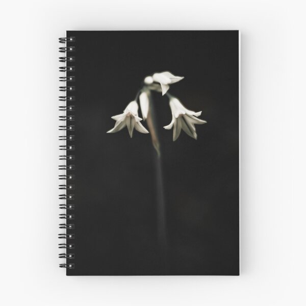 Item preview, Flowers in the night designed and sold by Geoff Hunter.