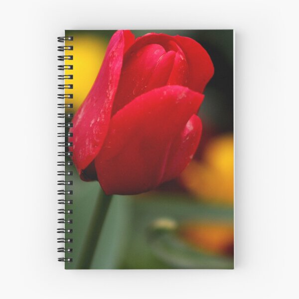 Item preview, Red Tulip designed and sold by lu138.