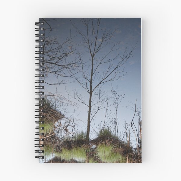 Item preview, The Sapling designed and sold by David McCrillis.