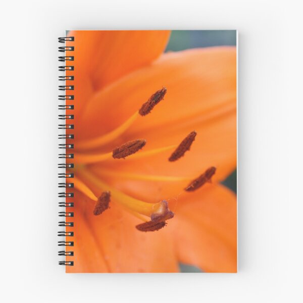 Item preview, Flower of Love designed and sold by Jodie Cooper.