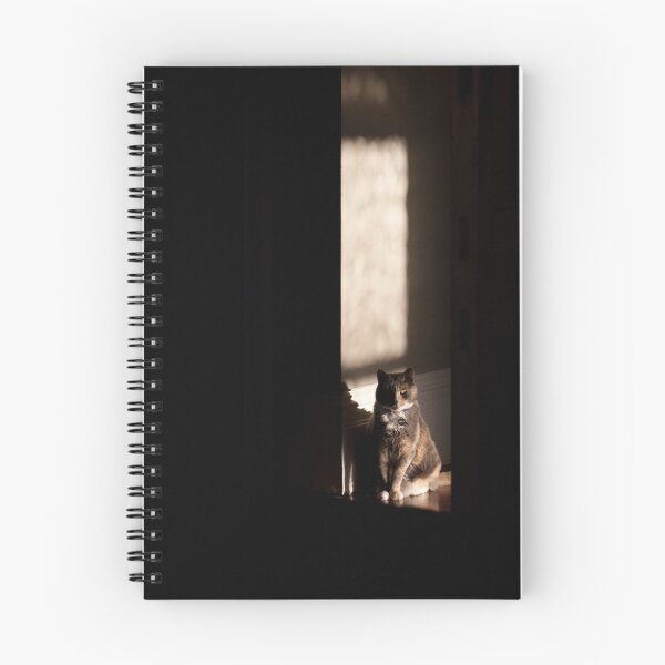 Item preview, Guardian - Light and the Shadow designed and sold by Geoff Hunter.