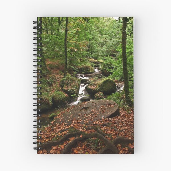 Item preview, Millstone at Kennall Vale designed and sold by Simon Marsden.