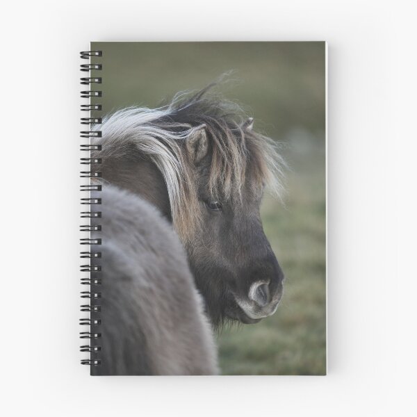 Artikelvorschau, Shetland Pony entworfen und verkauft von Frances144.