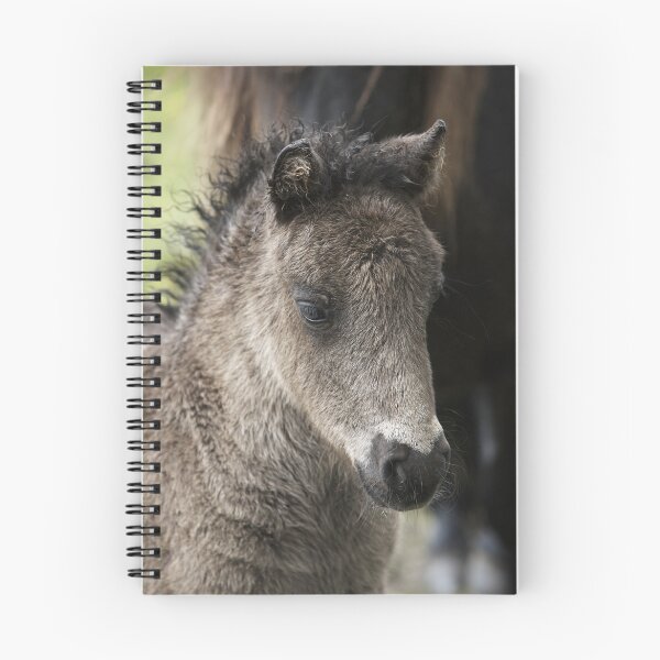 Item preview, Foal designed and sold by Frances144.