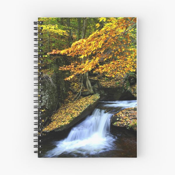 Item preview, LATE AUTUMN AT RICKETTS GLEN  designed and sold by MIKESANDY.