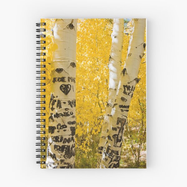 Item preview, Silver Lake Aspens-2 designed and sold by Zane Paxton.