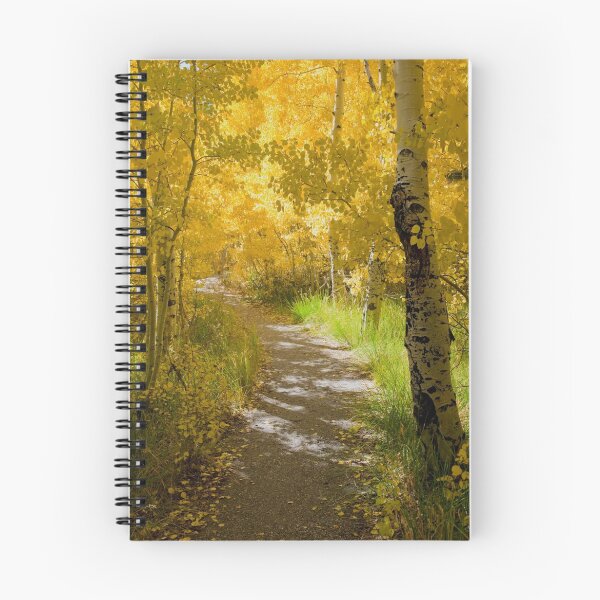 Item preview, Silver Lake Aspens-3 designed and sold by Zane Paxton.