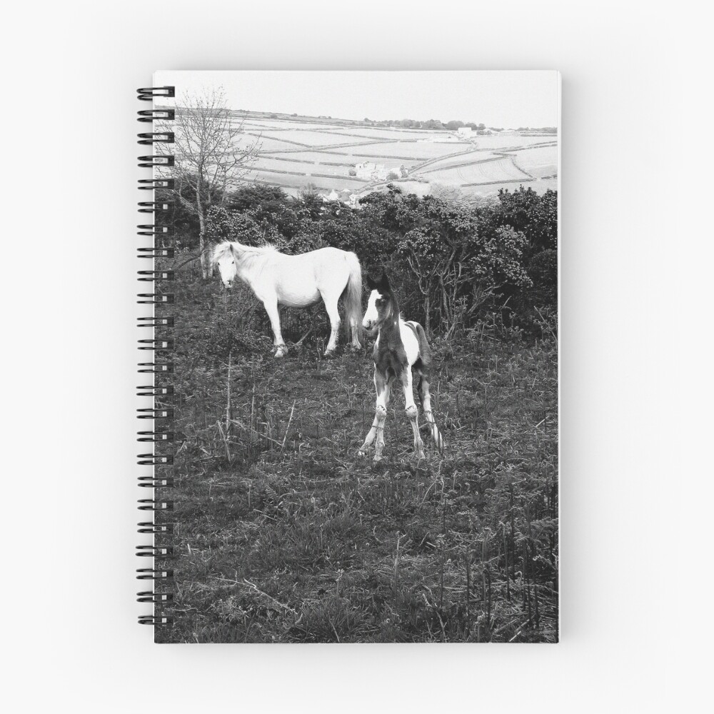 Aperçu de l'œuvre Cahier à spirale créée et vendue par RamsayGee.