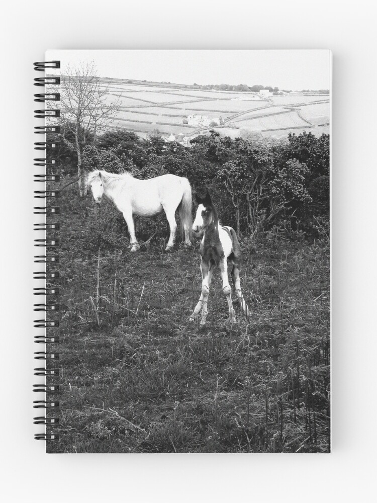 Thumbnail 1 of 3, Journal, THE STAND designed and sold by RamsayGee.