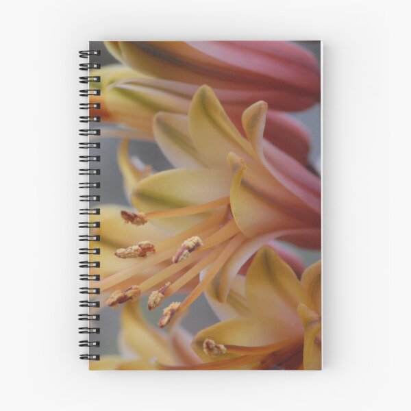 Item preview, Winter's Flowers designed and sold by Karen Zimmerman.