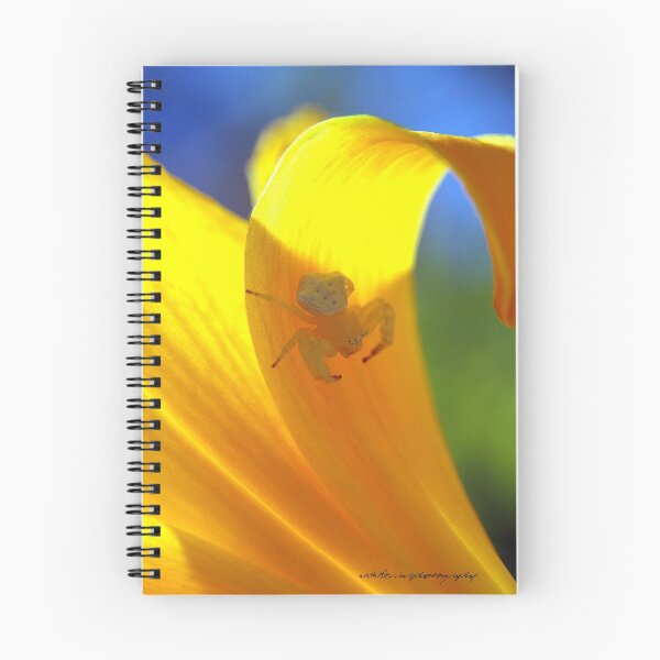Item preview, Whose Watching Who © Spider designed and sold by Vicki Ferrari Photography.