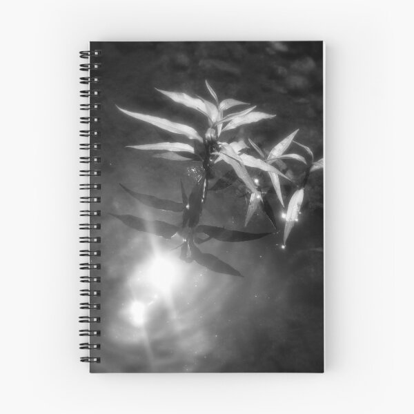 Item preview, Reflection in Eternity designed and sold by Paul Todd.