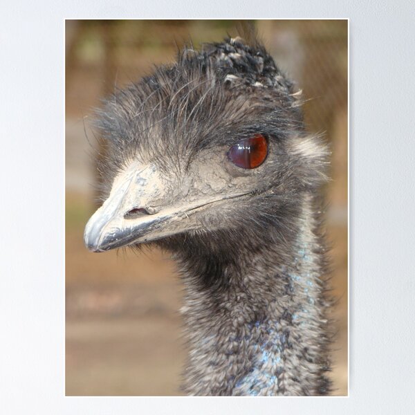 Item preview, Look me in the eye designed and sold by Anne van Alkemade.