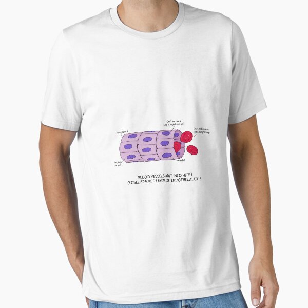 Item preview, Blood vessel endothelium designed and sold by Cartoon Neuron by Immy Smith.