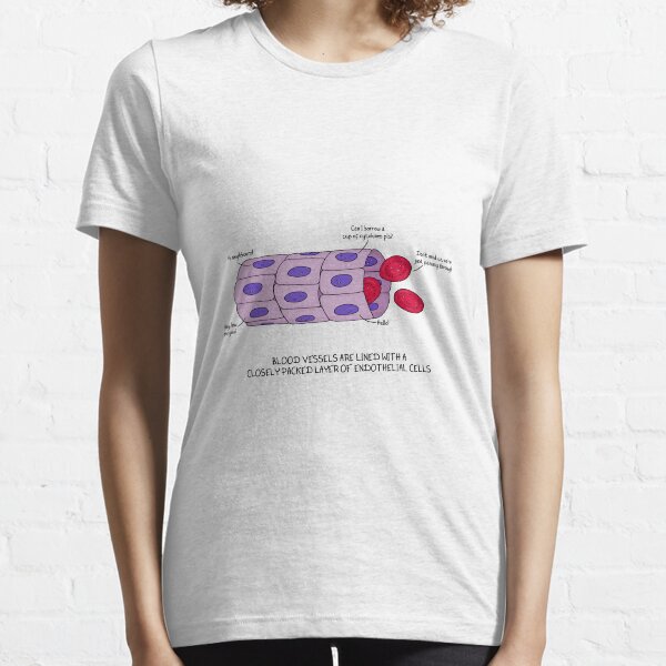 Blood vessel endothelium Essential T-Shirt