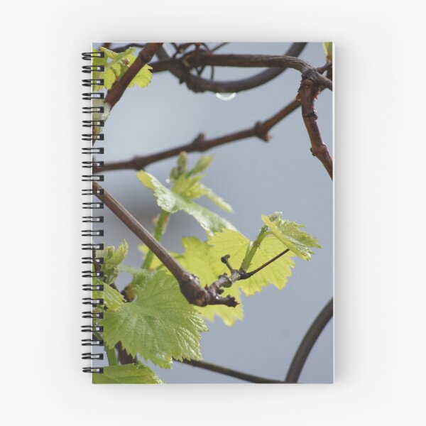 Item preview, Chardonnay; La Mirada, CA  designed and sold by leih2008.