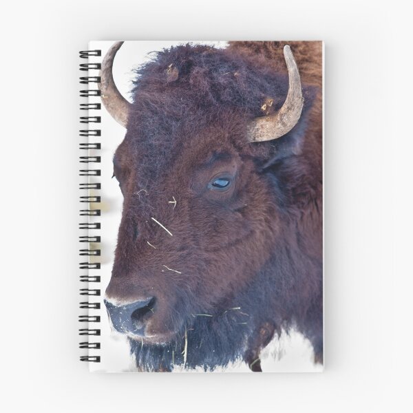 Item preview, Bison Portrait designed and sold by Jay Ryser.