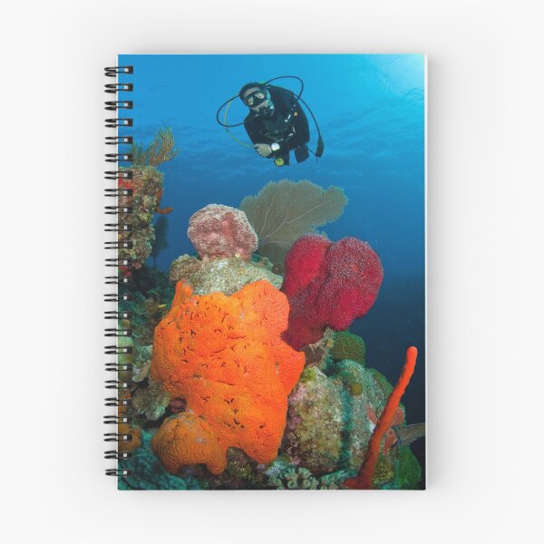 Item preview, Mike investigates bright coral patch designed and sold by muzy.