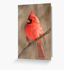Big Red 02 Greeting Card