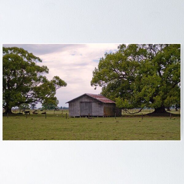 Item preview, The Shed designed and sold by kwill.