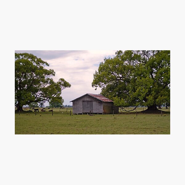 Item preview, The Shed designed and sold by kwill.
