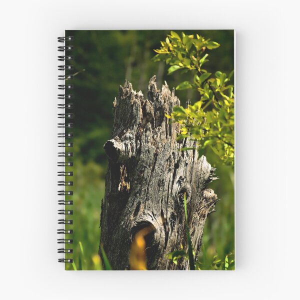 Item preview, Nature's Circle designed and sold by Tracey  Dryka.