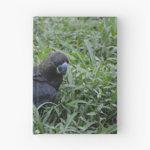 Item preview, Cockatoo in the Grass designed and sold by CodyLaskeyPhoto.