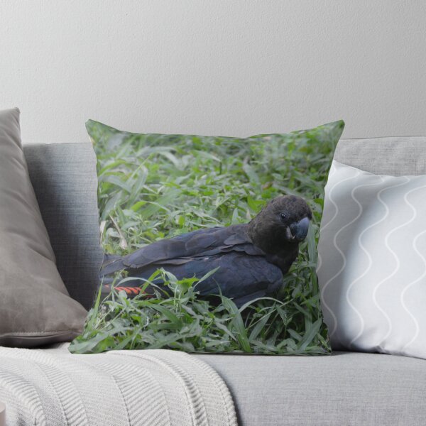 Item preview, Cockatoo in the Grass designed and sold by CodyLaskeyPhoto.