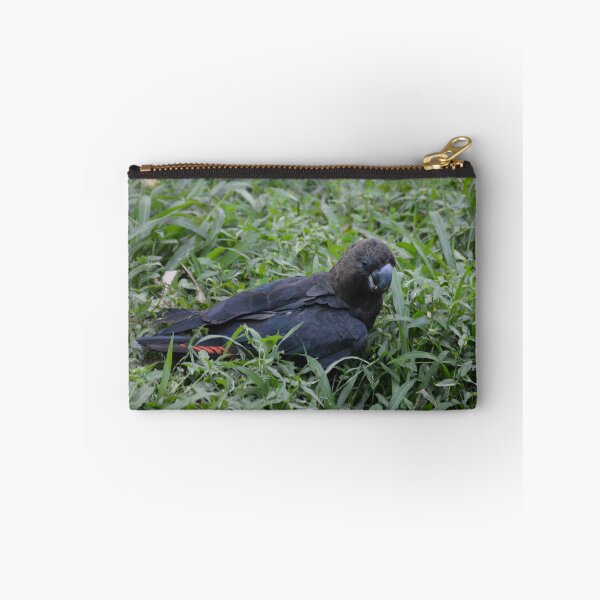 Item preview, Cockatoo in the Grass designed and sold by CodyLaskeyPhoto.