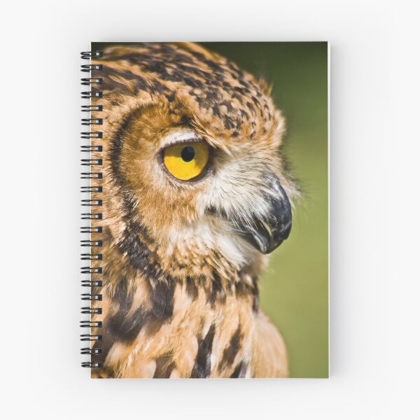 Item preview, Profile designed and sold by Viktoryia Vinnikava.
