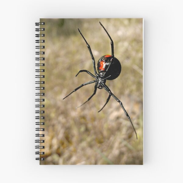 Item preview, Redback Spider designed and sold by John Marriott.