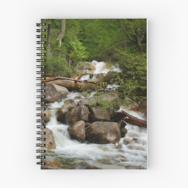 Aperçu de l'œuvre Shannon Creek Rapids créée et vendue par EchoNorth.