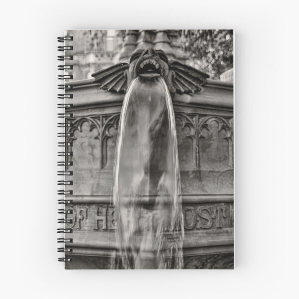 Item preview, Gargoyle in Black and White designed and sold by MarkStuttard.